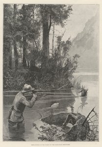 Deer-Hunting in the Forest of the Adirondack Mountains
